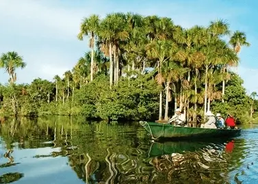 Descubre el Tour 3D2N por la Selva de Tambopata