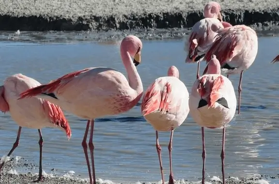 4D3N ATACAMA, SALAR DE UYUNI, ATACAMA