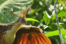 Recorridos de 4 días y 3 noches por el lago Sandoval