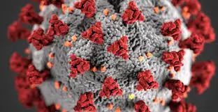 PRUEBA DE ANTÍGENO COVID-19 PARA VIAJEROS EN AREQUIPA